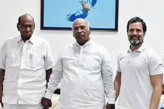 Rahul, Kharge extend Congress support to coup hit NCP chief Sharad Pawar