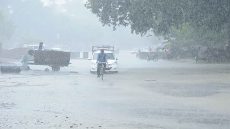 rain  Weather update Kerala  Weather  kerala weather  kerala rain  ശക്തമായ മഴ  മഴ  കേരളത്തിലെ കാലാവസ്ഥ  കാലാവസ്ഥ വകുപ്പ്