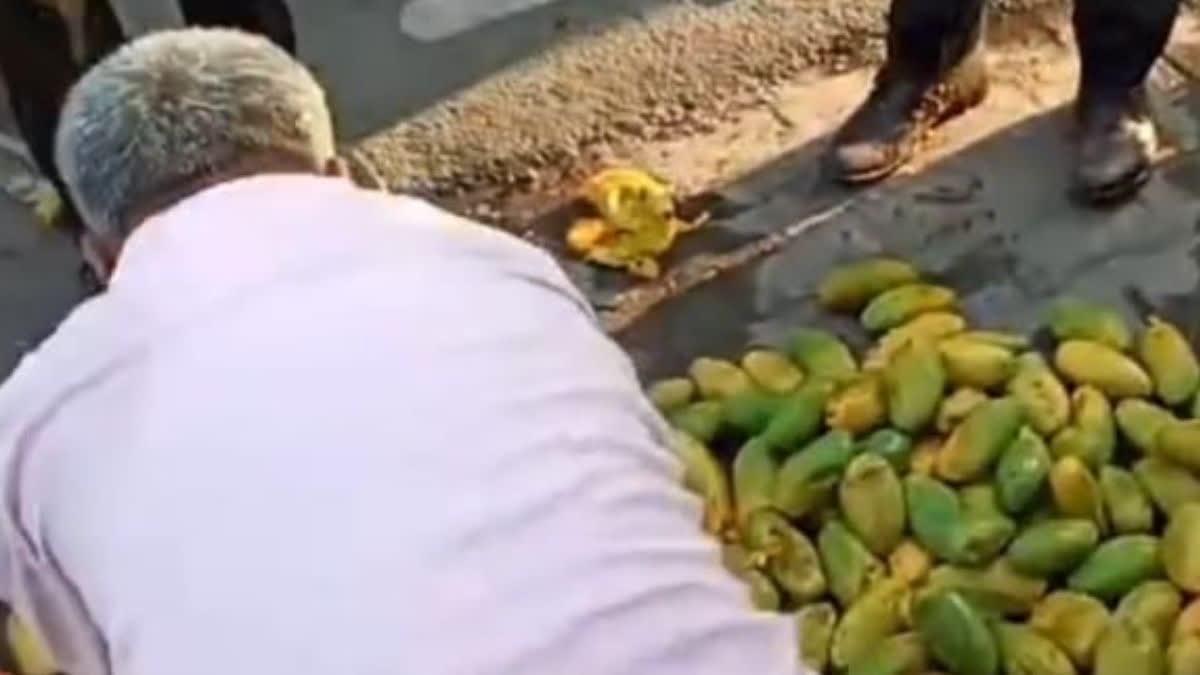 Fruit vendor badly beaten for selling mango by urinating, commotion in Meerut court premises