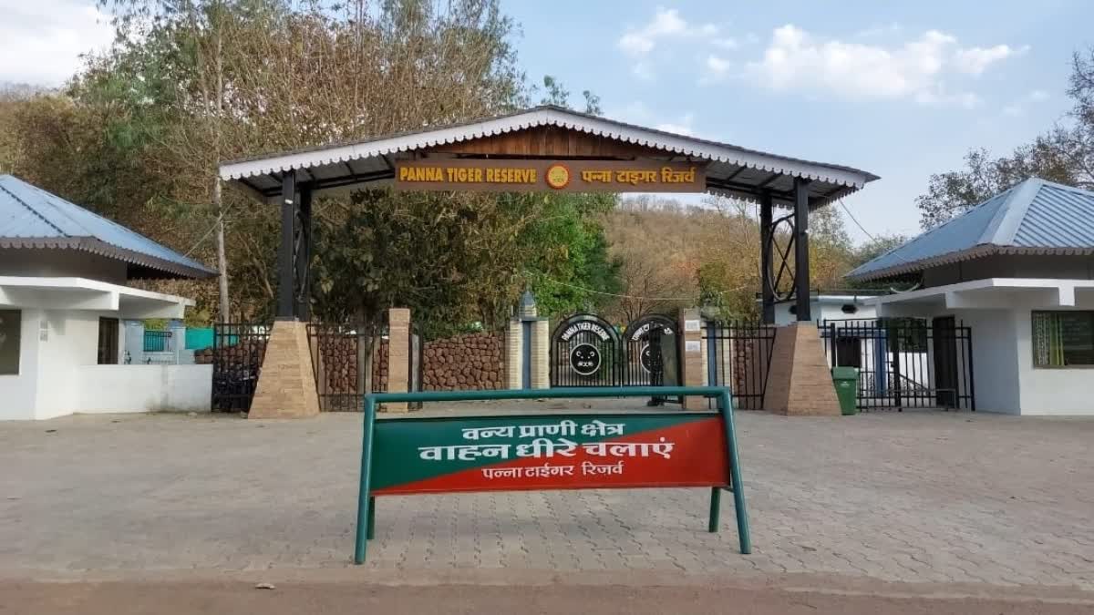 PANNA TIGER RESERVE EARNINGS