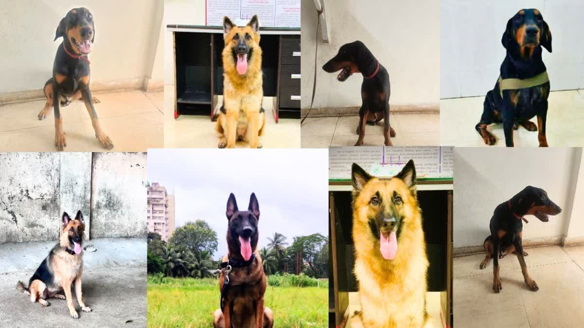 Mumbai Cops Dog Squad