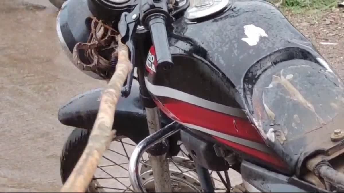 SEONI MOVING BIKE SEEN SNAKE