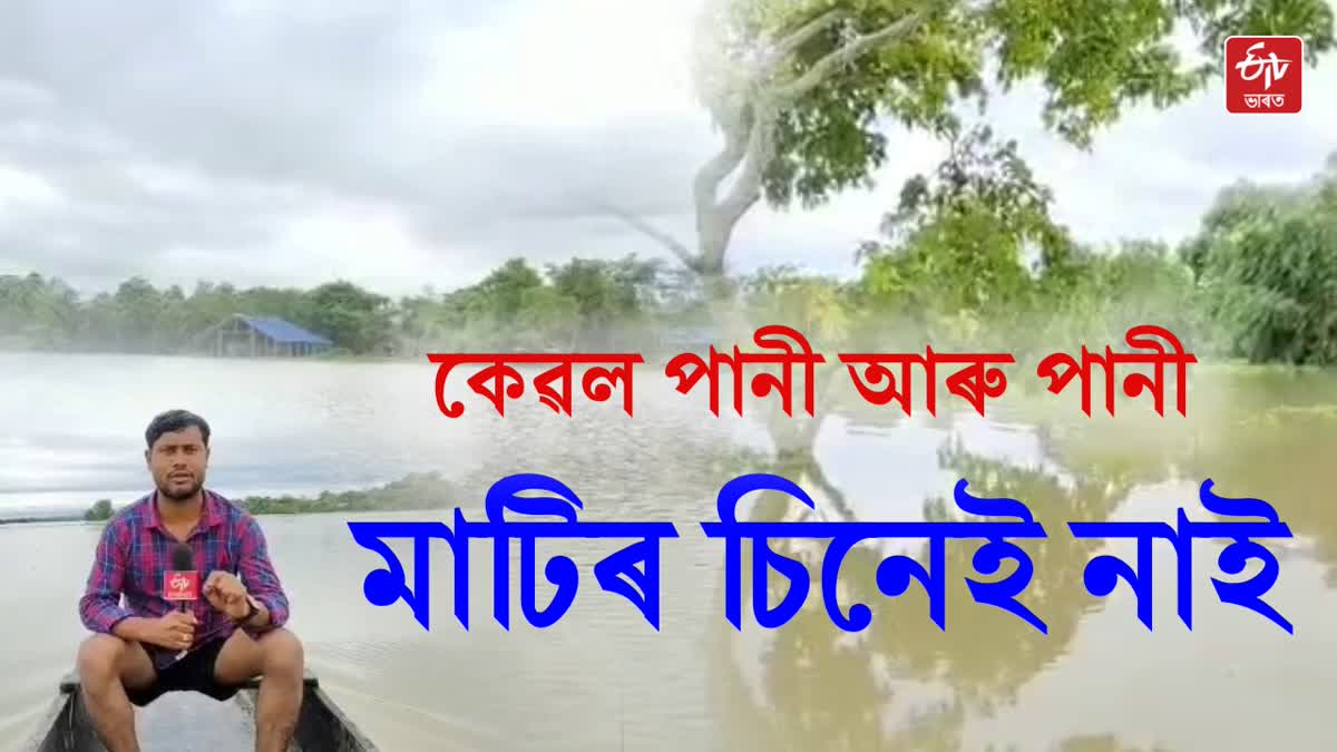 Assam Flood updates
