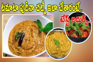 Tiffin Center Style Tomato Mint Chutney Recipe