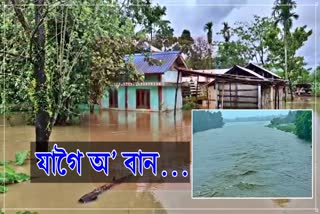 Assam flood situation