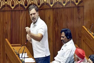 Rahul Gandhi’s Speech expunged