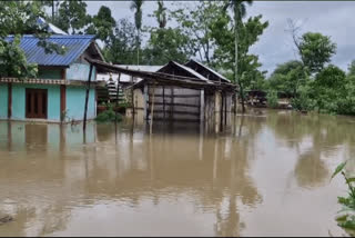 ASSAM FLOOD 2024  അസമിലെ വെളളപ്പൊക്കം  അസം പ്രളയം  ASSAM FLOOD SITUATION