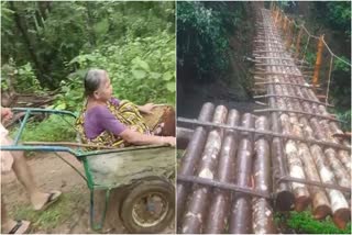 BRIDGE MADE OF NUT TREE  DAKSHINA KANNADA  BRIDGE ISSUE