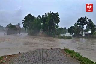 FLOOD IN ASSAM