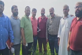 کشمیر کے محکمہ زراعت کے ڈائریکٹر کا دورہ چکورہ