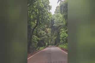 RESTRICTION ON KODAGU ROADS  വാഹനങ്ങൾക്ക് നിയന്ത്രണം  കുടകിൽ വാഹനങ്ങൾക്ക് നിയന്ത്രണം  RESTRICTION ON HEAVY VEHICLES