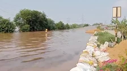 Monsoon in Haryana