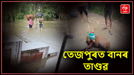 Flood Situations at Tezpur