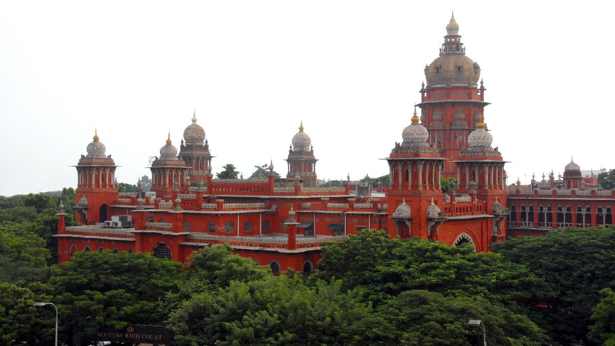 madras high court