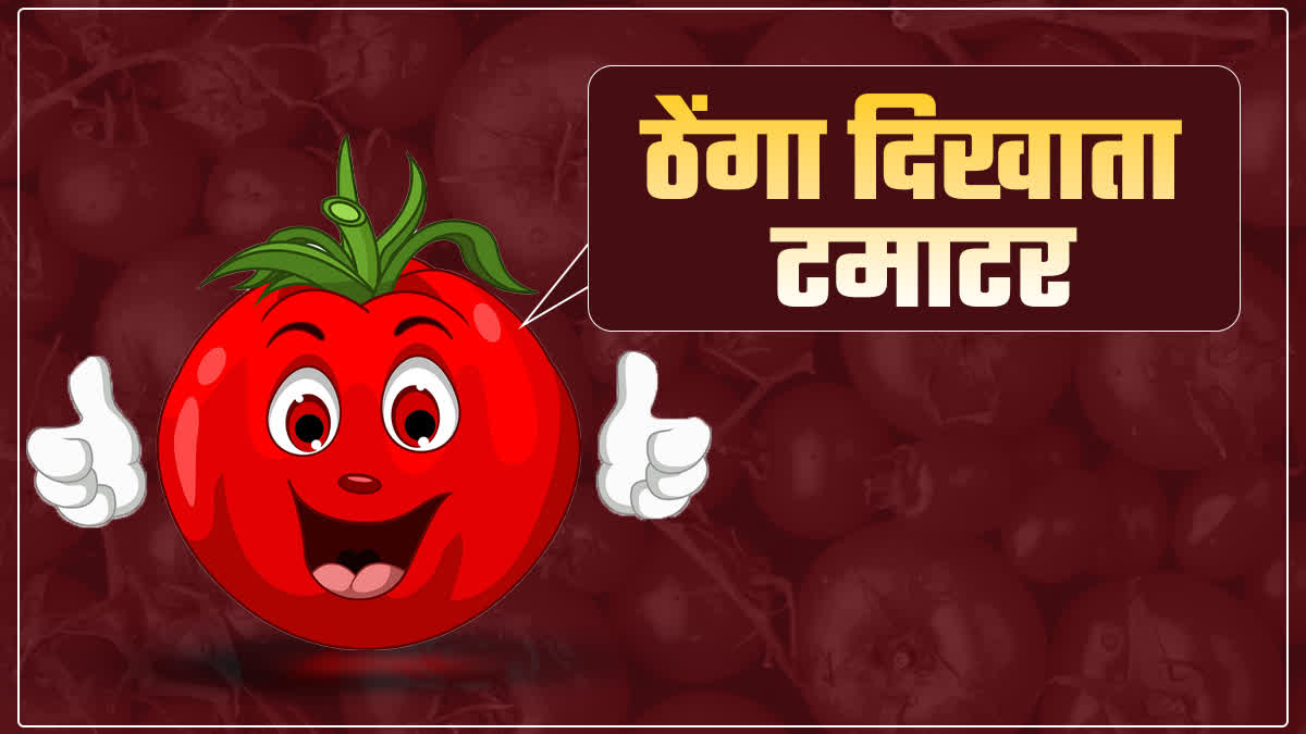 Tomato Prices Hike