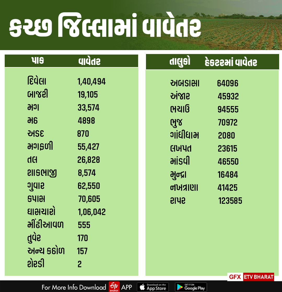 જાણો કયા પાકનું કેટલા હેક્ટરમાં વાવેતર