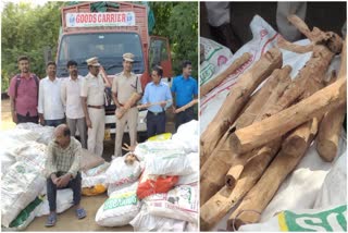 Sandalwood Smuggling