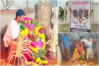 jallikattu Bull