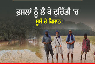 Alternate Of Paddy, Farming After Floods, Punjab News
