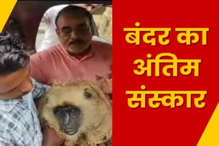monkey died in Dhanbad