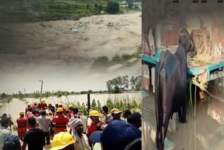 36 HECTARES OF LAND WASHED AWAY IN UTTARAKHAND DUE TO FLOOD AND RAIN