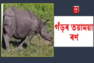 rhino-body-recovered-at-manas-national-park