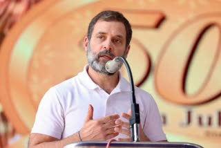 rahul-gandhi-to-launch-congress-poll-campaign-from-tribal-dominated-region-of-rajasthan-aug-9