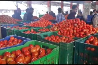 Chikmagalur city APMC market