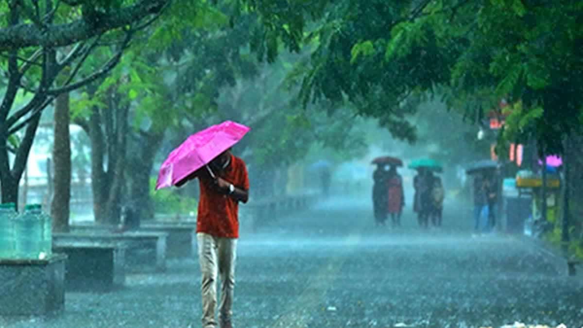 RAIN ALERT IN KERALA  KERALA RAIN NEWS  മഴ മുന്നറിയിപ്പ്  കേരളത്തിൽ കനത്ത മഴ