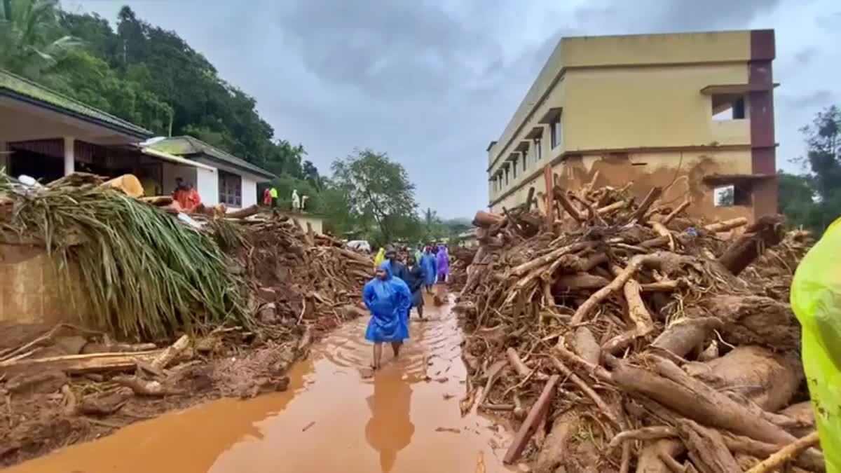 வயநாடு நிலச்சரிவு