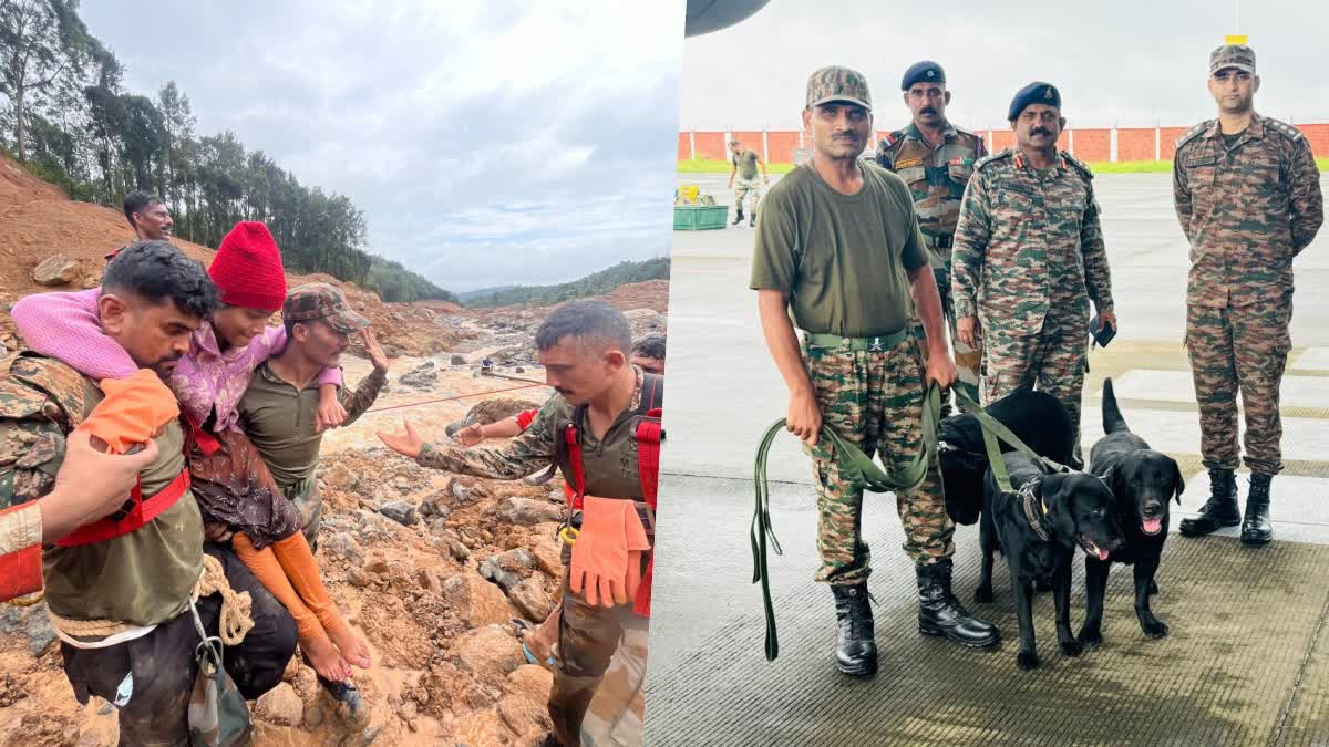 Army dogs helping to find dead bodies