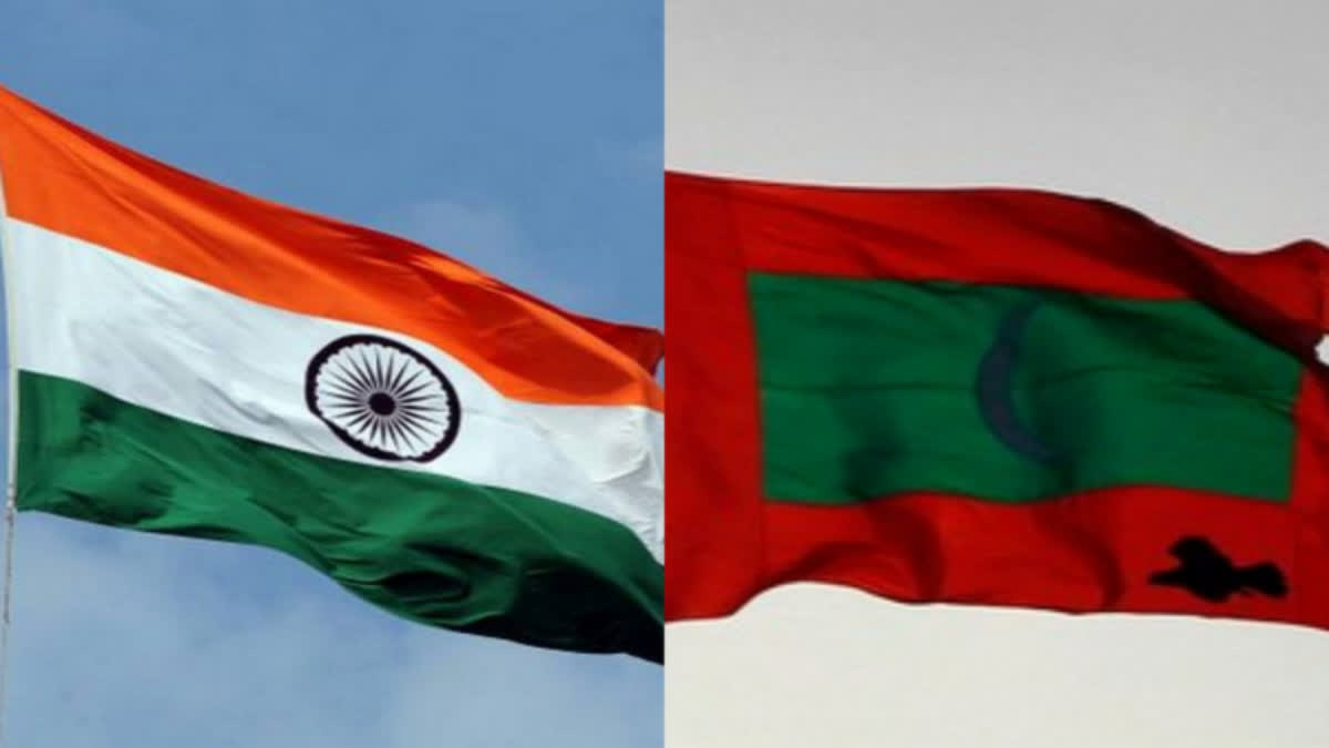 India Export Business to Maldives