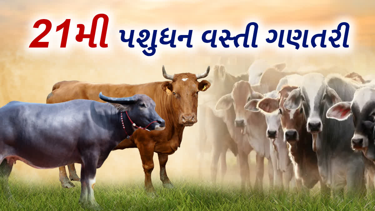 21મી પશુધન વસ્તી ગણતરી હાથ ધરાશે