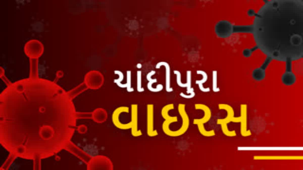 રાજકોટમાં ચાંદીપુરા વાયરસનો કહેર