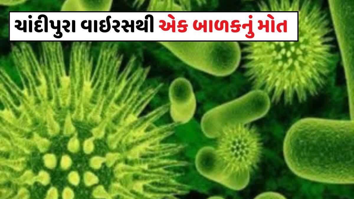 પાટણમાં ચાંદીપુરા વાયરસથી 7 વર્ષીય બાળકનું મોત