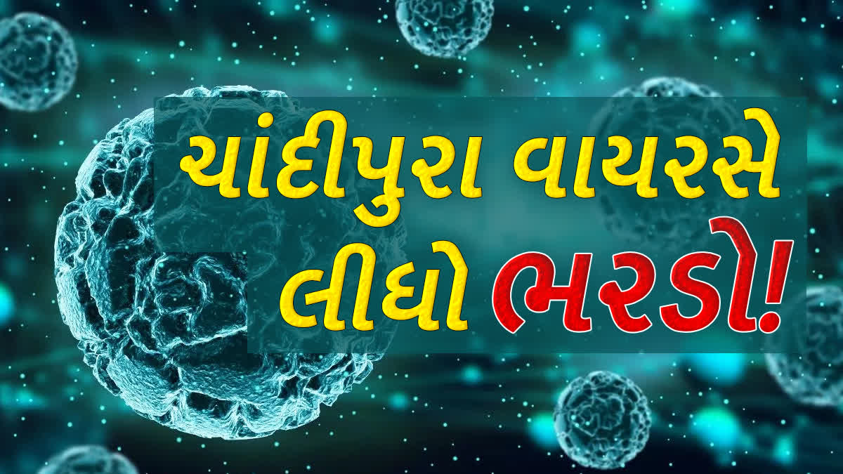 રાજ્યમાં ચાદીપુરા વાયરસે લીધો ભરડો