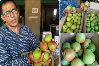 demand for Kumaon pears in market