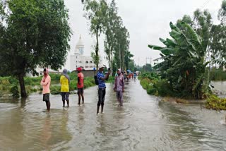 STATE HIGHWAY GOGHAT