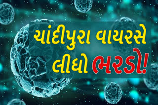 રાજ્યમાં ચાદીપુરા વાયરસે લીધો ભરડો