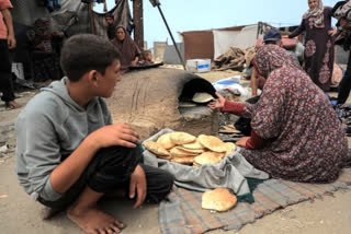 Sitting in a tent in southern Gaza, Palestinian food blogger Hamada Shaqoura surveys cans of beans and tinned meat and longs for something that could conjure a sense of home.