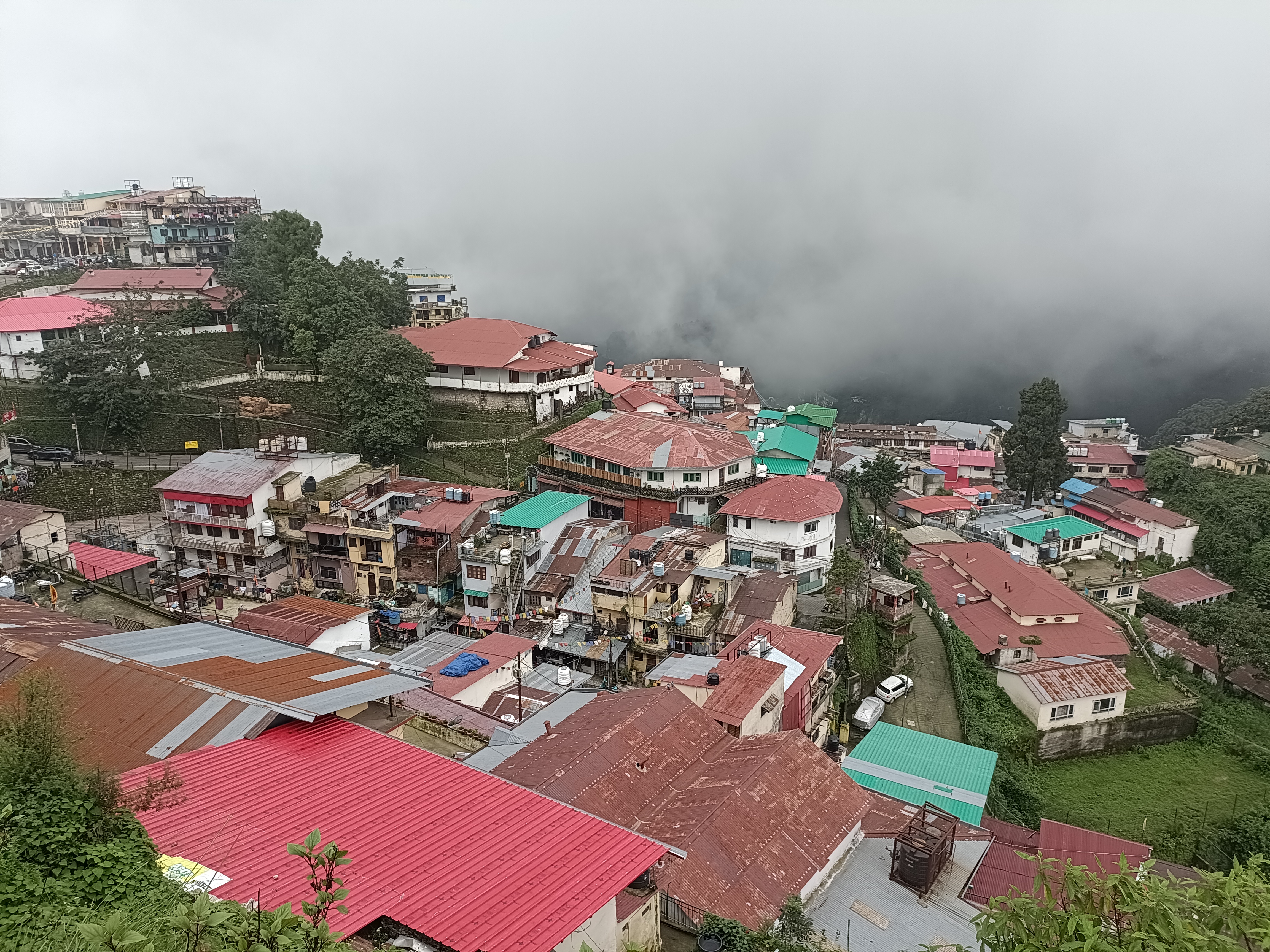 Mussoorie Tree Cutting