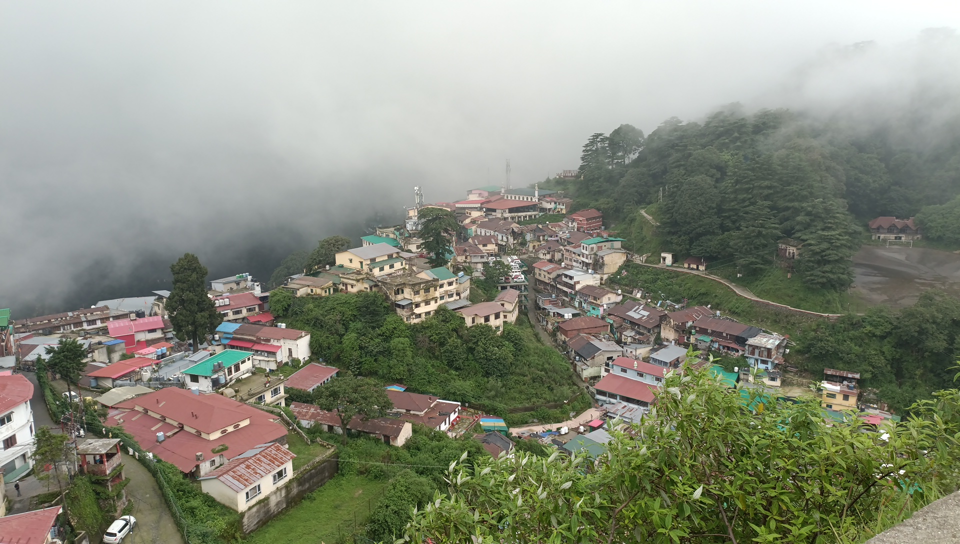 Mussoorie Tree Cutting