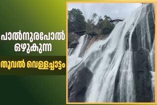 monsoon TOURISM  THOOVAL WATERFALL nedukandam  travel  waterfalls