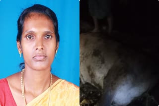 WOMEN FOUND DEAD IN KKD  LATEST MALAYALAM NEWS  KOZHIKODE  DEAD BODY FOUND IN KKD