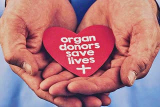 In India, one person in every one million population donates organs