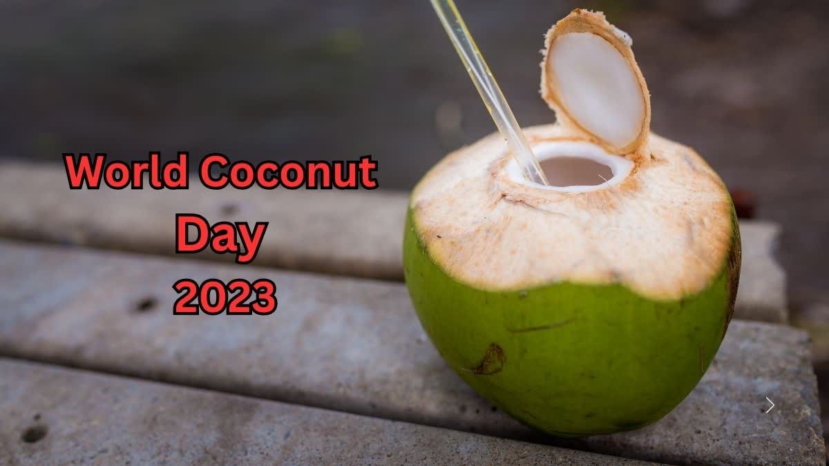 World Coconut Day 2023