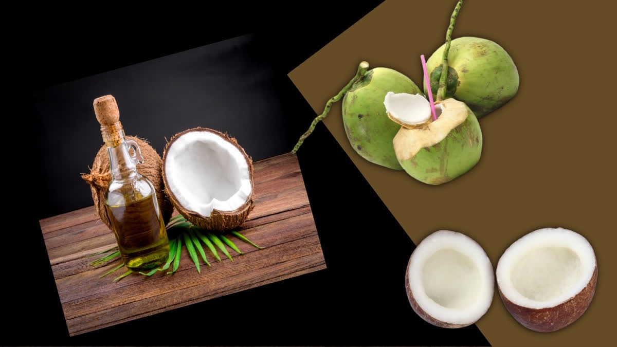 World Coconut Day