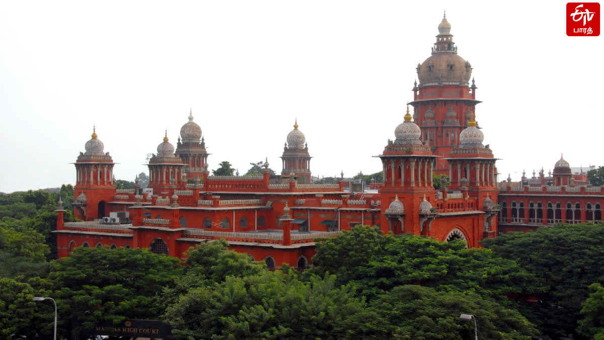 madras high court