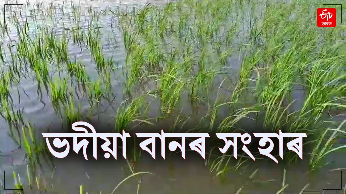 floods in Goalpara deteriorating day by day