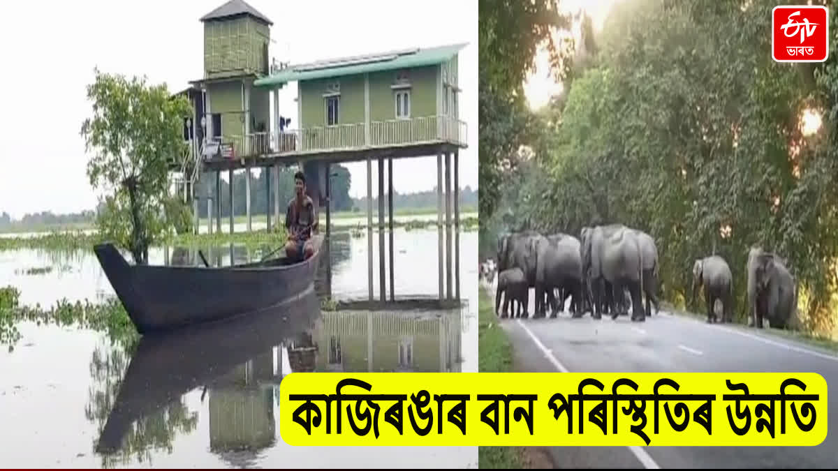 Flood in Kaziranga National Park